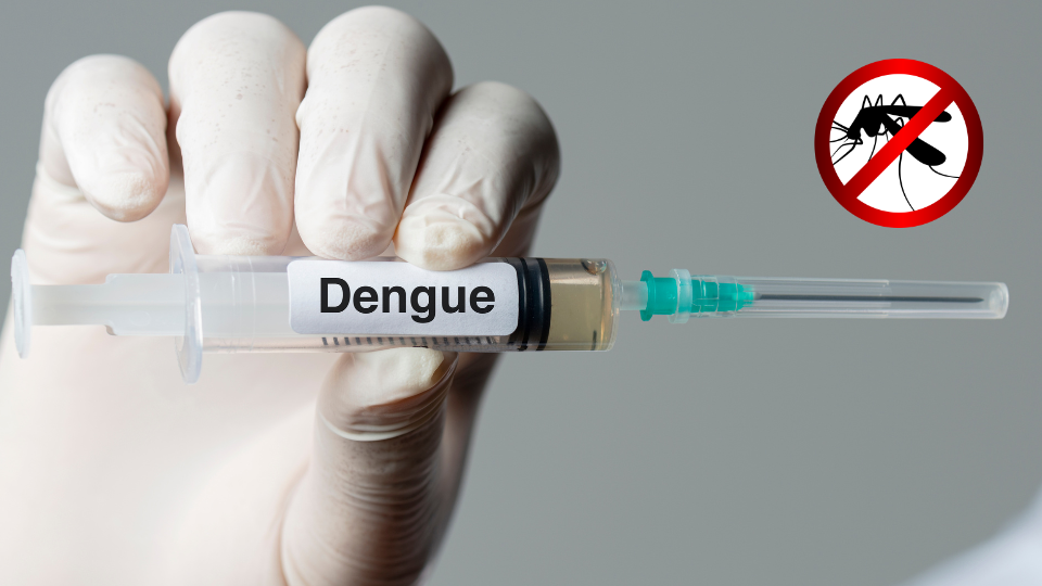 Dengue