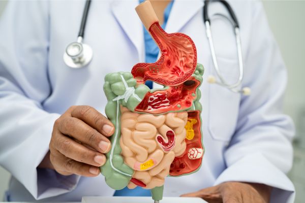 um medico mostrando o sistema digestório